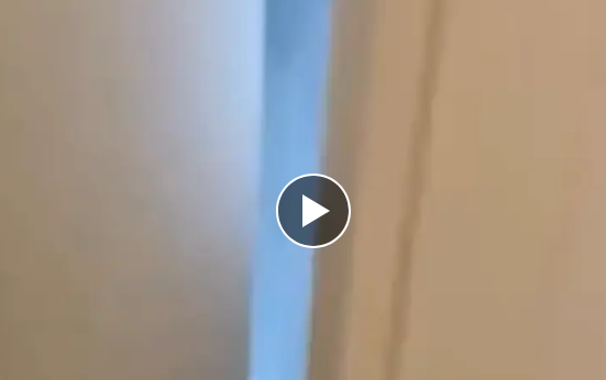 ���� ����� � ������� ������ ������ � �������� (�����)