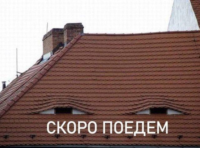 ������� �������� (15 ����)