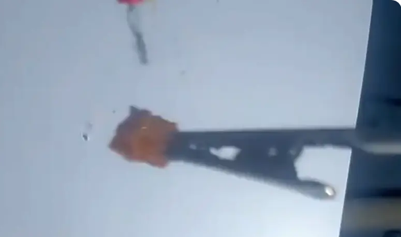 ����������� (�����)