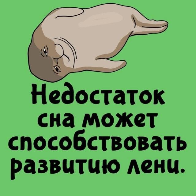 ���������� ����� �� ��� ������ ����� (15 ����)