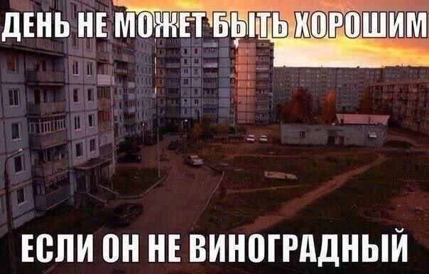 ������� �������� (15 ����)