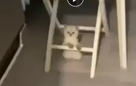 �����, �� ����� (�����)