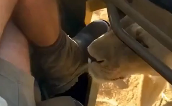 ������� ������! (�����)