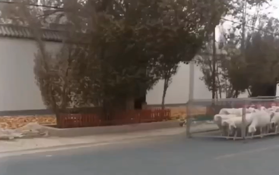 ����� �� ���������� (�����)