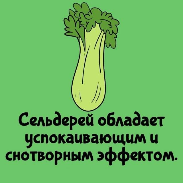 ���������� ����� �� ��� ������ ����� (15 ����)