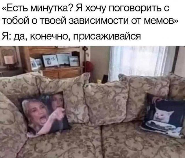 ������� ���� (15 ����)