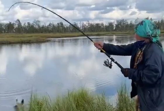 �� ���� ����� (�����)