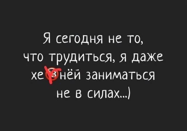 ������� ���� (15 ����)