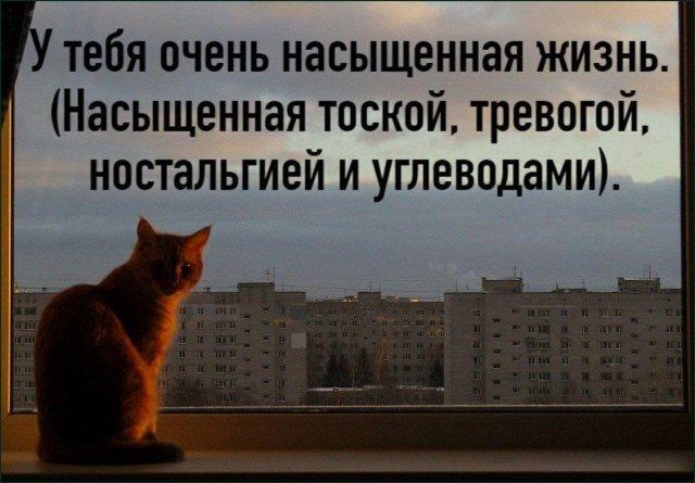 ������� �������� (15 ����)