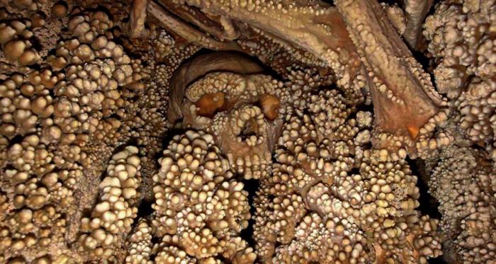 150 000 лет вниз головой: неандерталец, которого земля до сих пор не отпускает (6 фото)