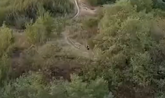 ��� � �������� ������ ���� ����� (�����)