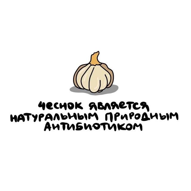 ���������� ����� �� ��� ������ ����� (15 ����)