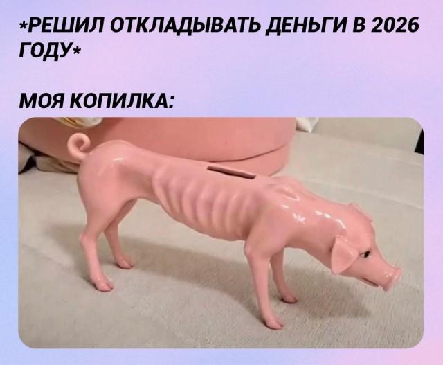 �������� �������� ������ ��� ���� (15 ����)