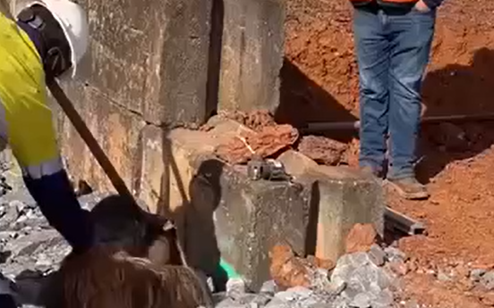 ����� ���� ������-�� ��������, ������� ���� ������� (�����)