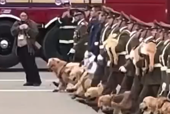 ��, � ����� (�����)