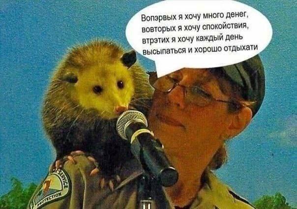 ������� �������� (15 ����)