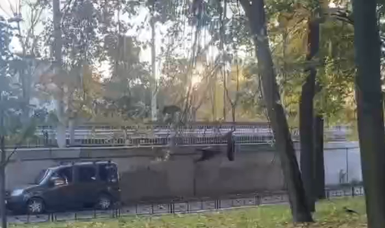 � ������ �����, � �������� ������ ������� ������ (�����)
