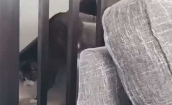  ���� ������ � ������ ���� (�����)