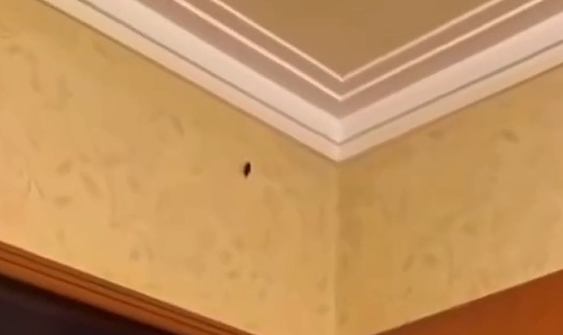 ������� �� ��� ����� � ������ (�����)