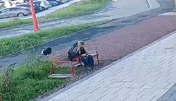 ���� �� ����� (�����)