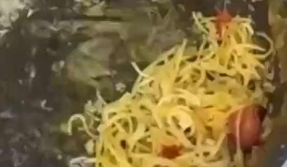 �������� ��-������� (�����)