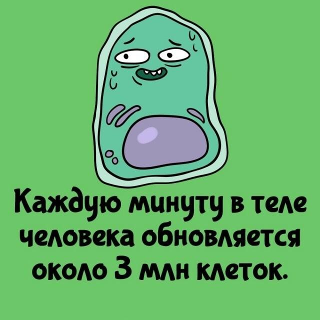 ���������� ����� �� ��� ������ ����� (15 ����)