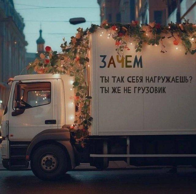 ������� �������� (15 ����)