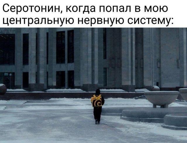 ������ ����� � ���� �� ���� (15 ����)