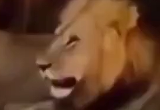 � ��� ��� ������ ����? (�����)