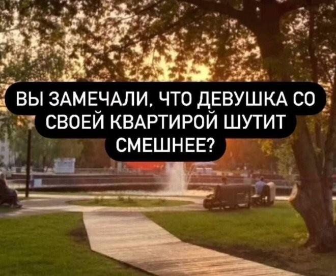 ������� ���� (15 ����)
