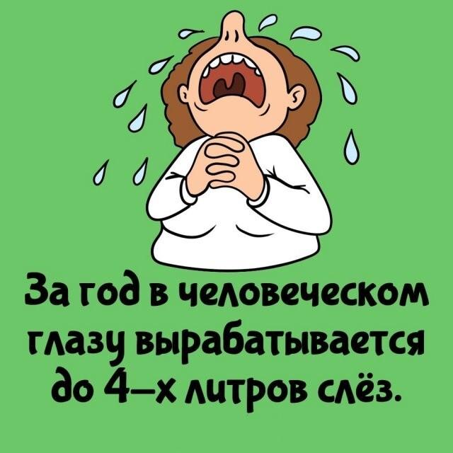 ���������� ����� �� ��� ������ ����� (15 ����)
