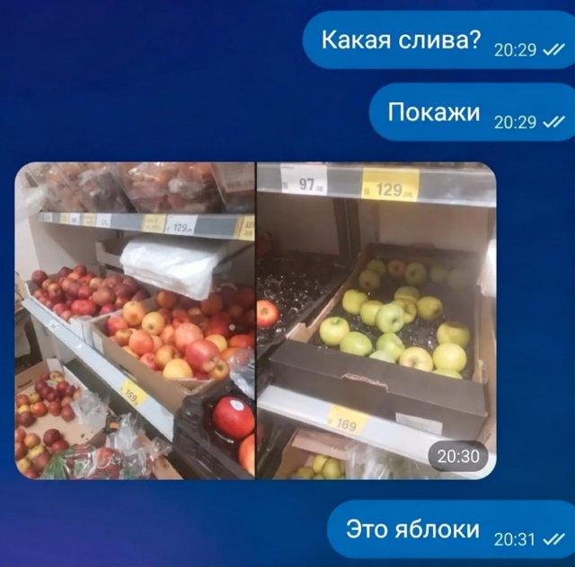 ������� � ����: ������� � ������ ���������� ��������� ���������� (9 ����)