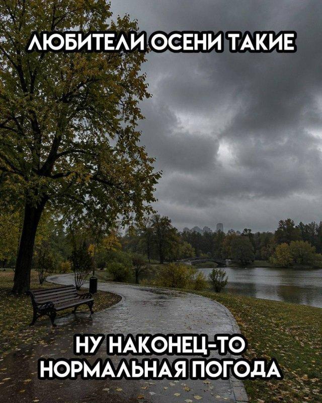 ������� �������� (15 ����)