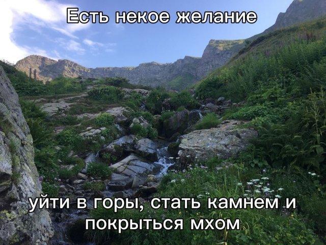 ������� ���� (15 ����)