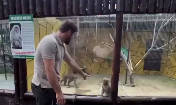������ (�����)