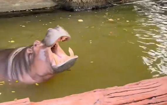  � �������� �������� �������������� ������ ����������� �� ���� (�����)