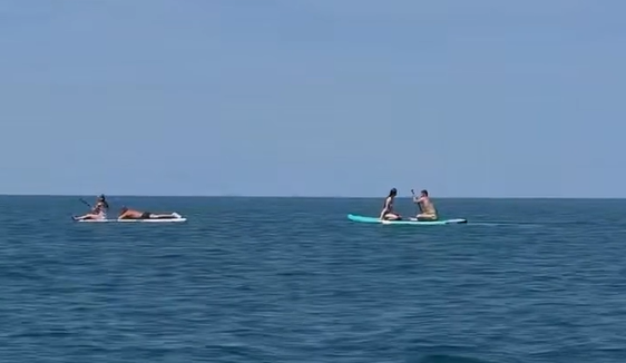 ��������� vs ���� (�����)