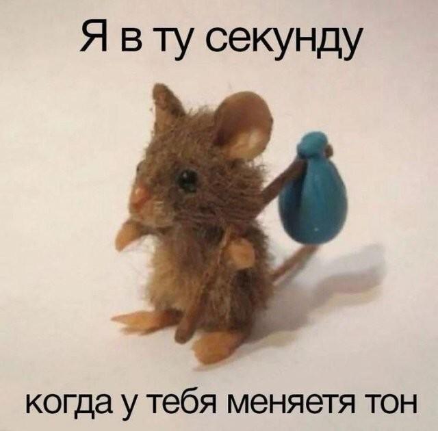 ������� �������� (15 ����)