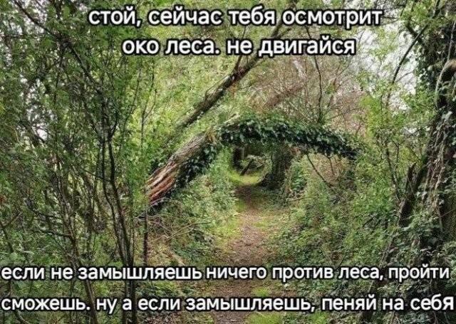 ������ ����� � ���� �� ���� (15 ����)