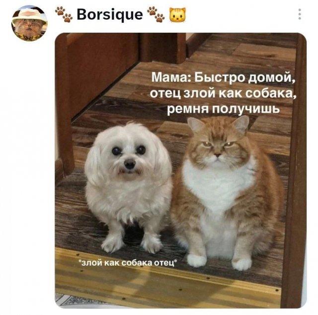 �������� �������� ������ ��� ���� (15 ����)
