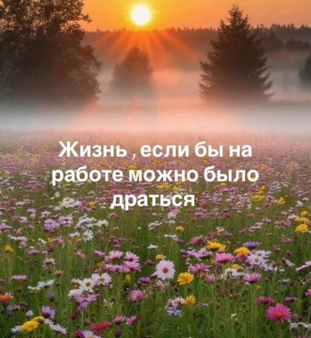 �������� ���������� ���� �4060 (30 ����)