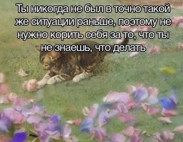 ������� �������� (15 ����)