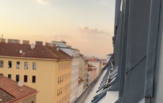 � ����� ���� �������� ������������� ����� (�����)