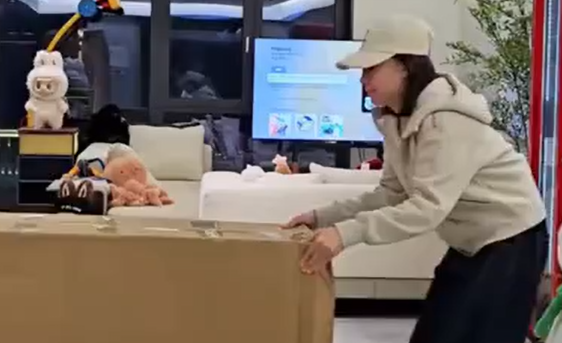 ���������� (�����)