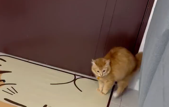 �����, ��� � ��� � ������? (�����)