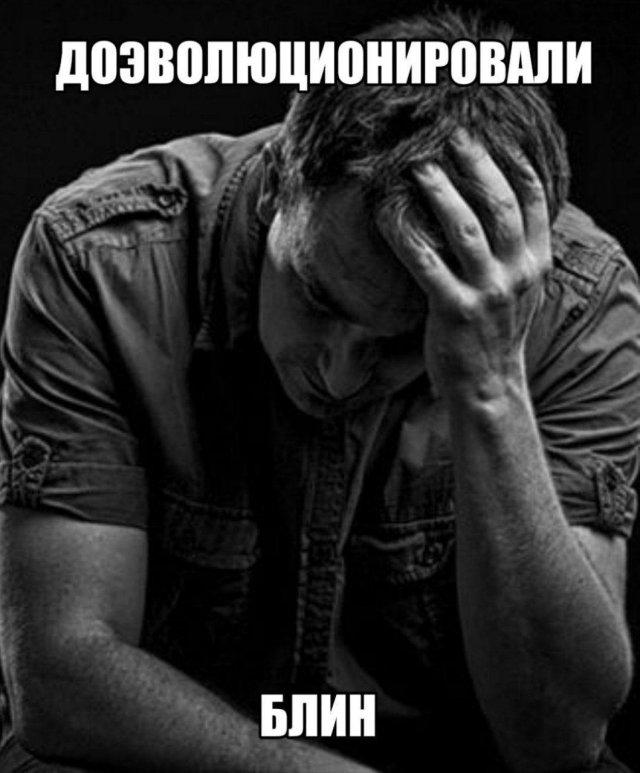 ������ ����� � ���� �� ���� (15 ����)