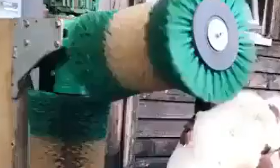 ������������� (�����)