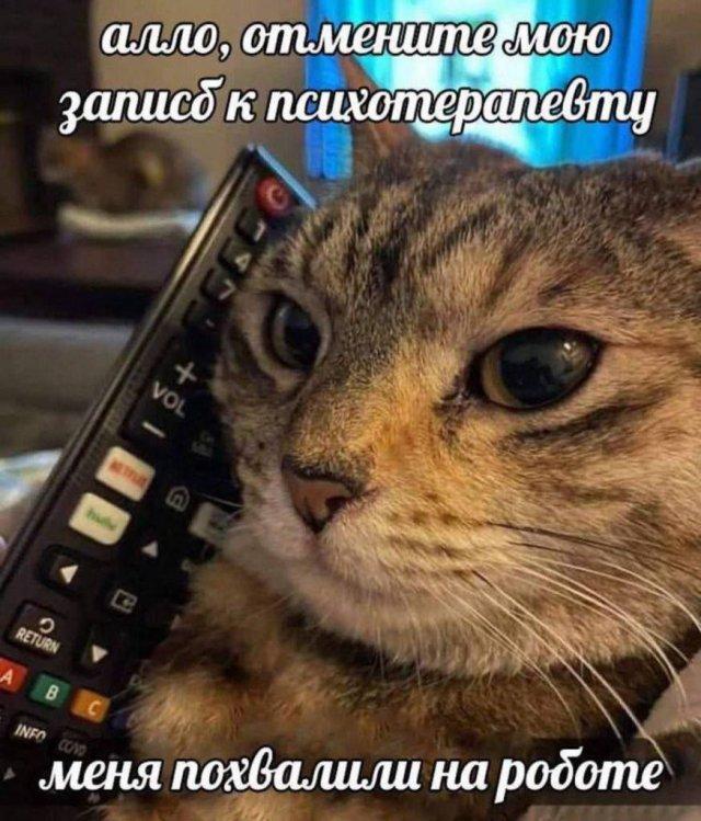 ������� �������� (15 ����)