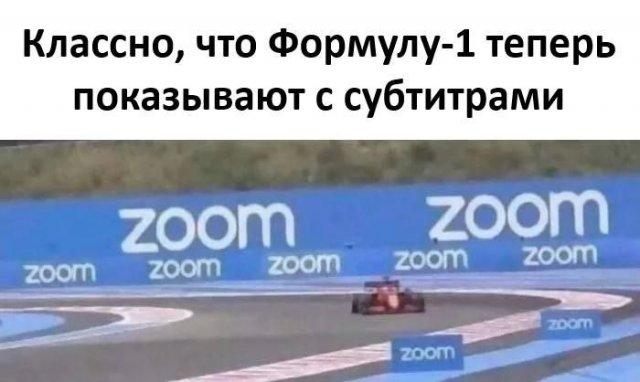 ������� ���� (15 ����)