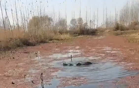 ������� �� ������� ������ (�����)